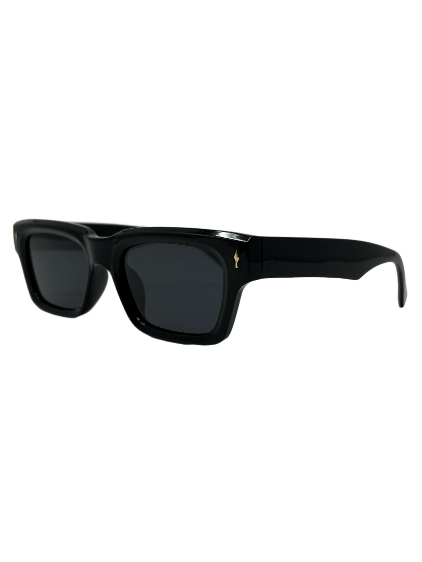 T5 Polarized Classic