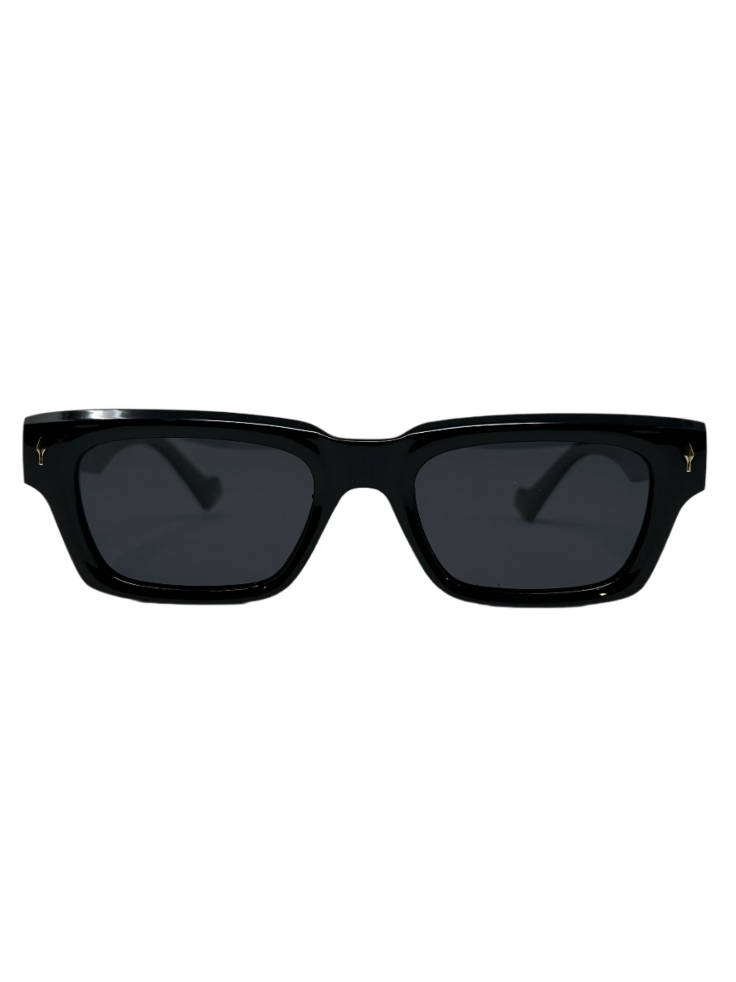 T5 Polarized Classic